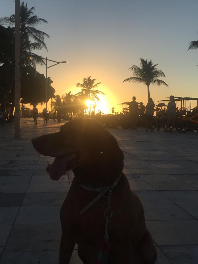Apartamento Na Melhor Localizacao De Fortaleza!! Екстер'єр фото